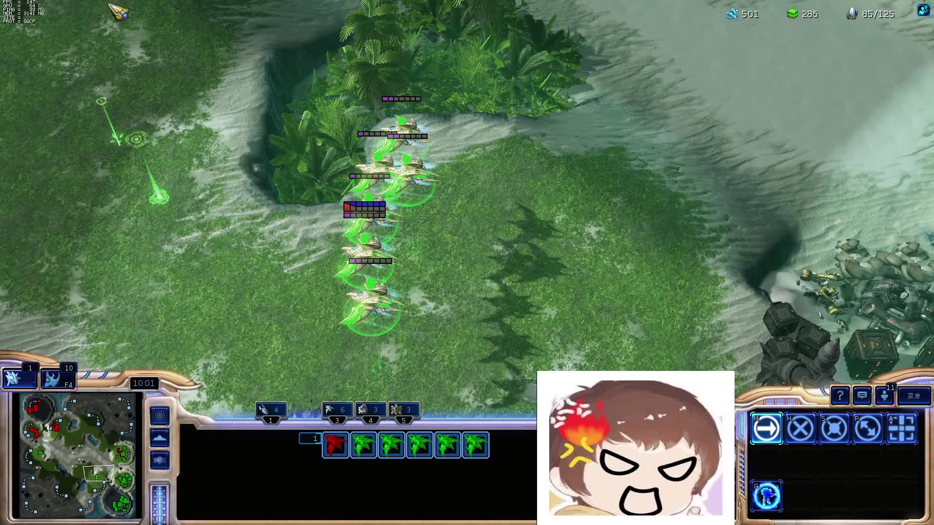 小金者大战宅肥