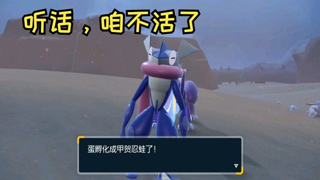 【宝可梦大集结】忍蛙深情暧昧转身被光布马来西亚虚空索敌亏内