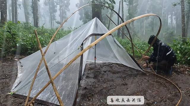 面对野外的狂风暴雨，用塑料薄膜撑起顶雨棚，躲里面太幸福了！