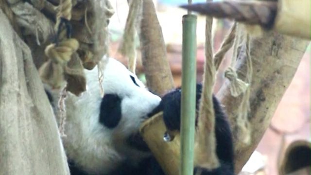 闲来无事，先拆个家