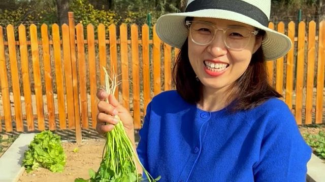 十月份一到，赶紧种点耐寒香菜吧