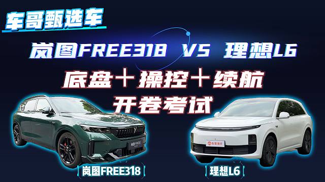 用料好，操控就一定好？岚图FREE 318实力印证