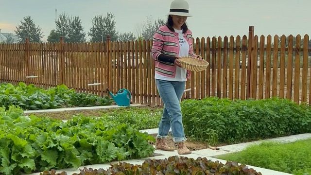 天越冷长得越好的六种菜