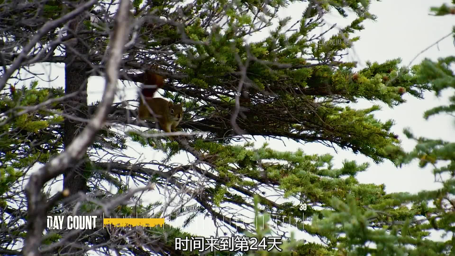 荒野独居能与罗兰匹敌的，估计只有这三人了  (3)