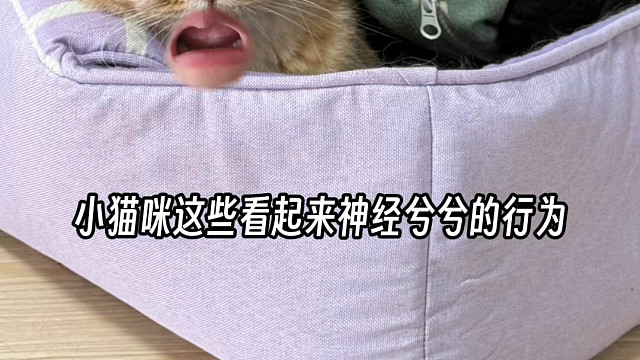 都是什么意思？