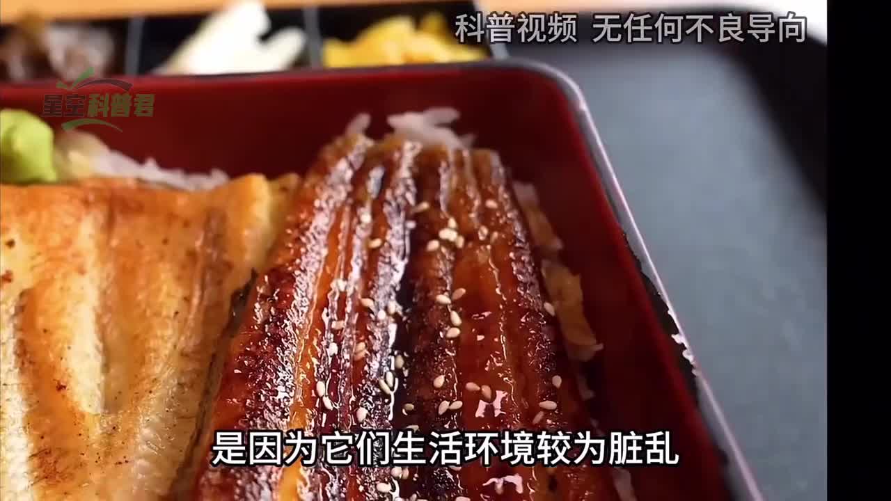 老话说无鳞鱼要少吃，有什么科学依据？究竟该不该信呢