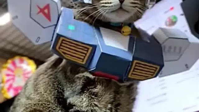 猫咪高达   太帅啦