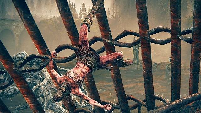 法环：柳条人投技去火焰赏析