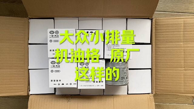 大众原厂机滤 机油格 这样子的