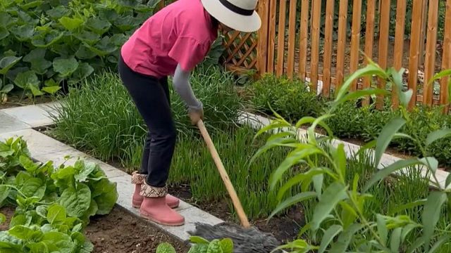 【田园晓月】Up主探索中，欢迎收看求三连！