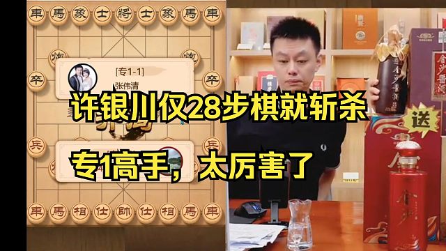 许银川28步棋斩杀专1高手，太强了