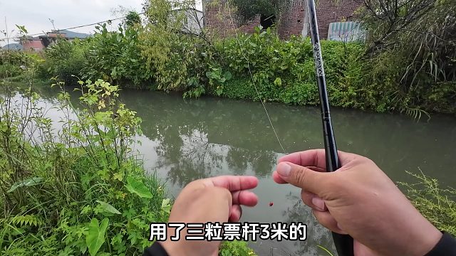 小雨过后，小伙来到河边钓鱼，没想到一条接着一条上钩，真是过瘾