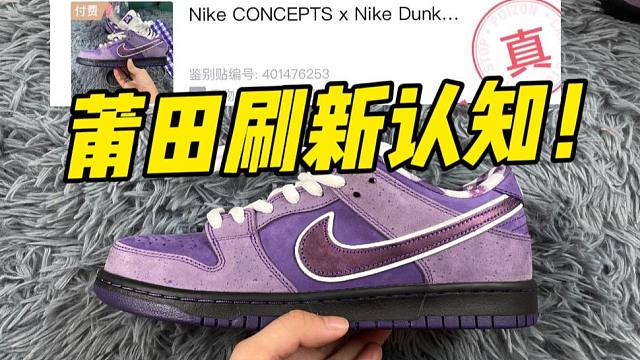 不敢相信！福建顶配的dunk紫龙虾，居然过验了！！