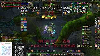 ZAM 老4? 山貓