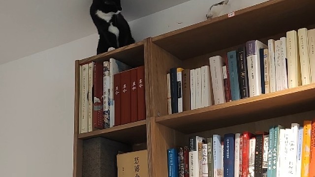 【历史作家邙山野人】更新了一条视频，快来围观！