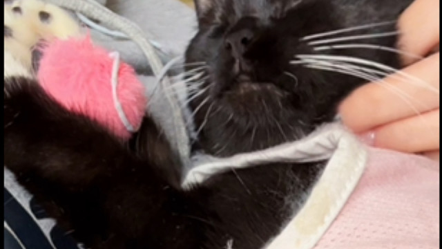 她怎么这么可爱啊