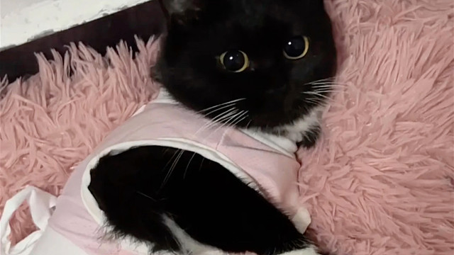 谁能想到一家四口最小的居然是妈妈