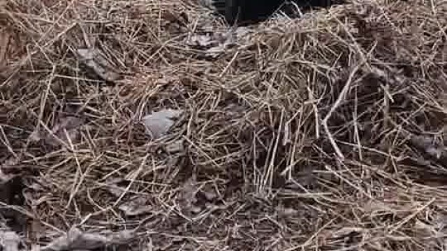 遇到了，怎么办啊