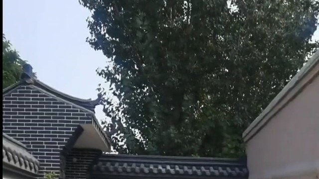 四合院小青瓦 新中式庭院 砖雕影壁挂件