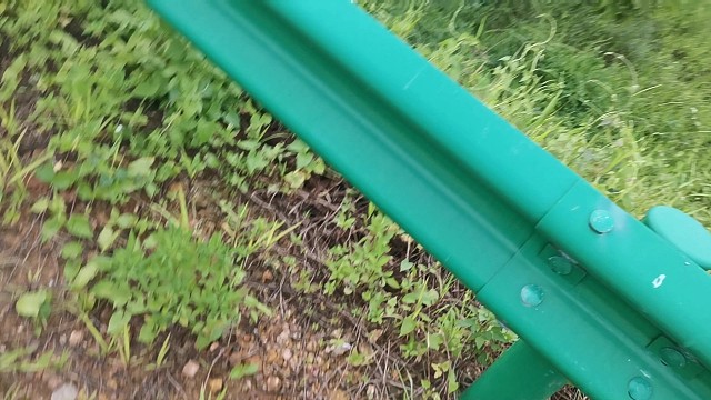 花农沧桑岁月录