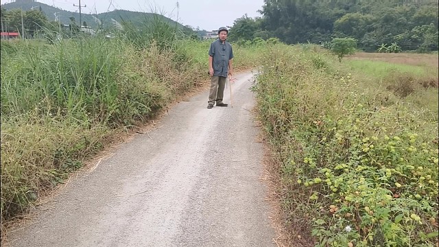 皮痒疥癣抓不停用包袱草倒地铃