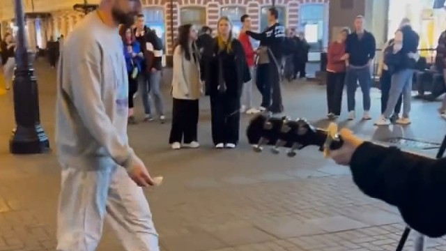 有趣的灵魂哈哈哈