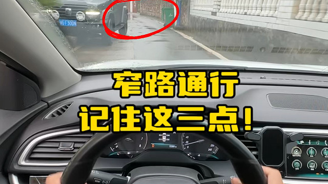新手上路可以参考一下阿峰分享的这两个点位，避免刮蹭#开车技巧分享 #汽车安全知识