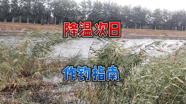 秋季大降温后第二天，选择啥样钓位鱼获好？参考下这个选位原则