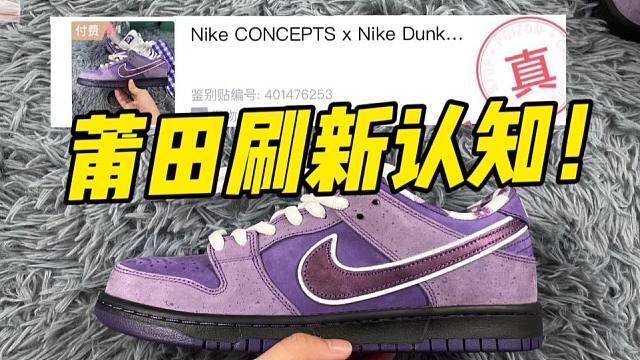 不敢相信！福建顶配的dunk紫龙虾，居然过验了！！