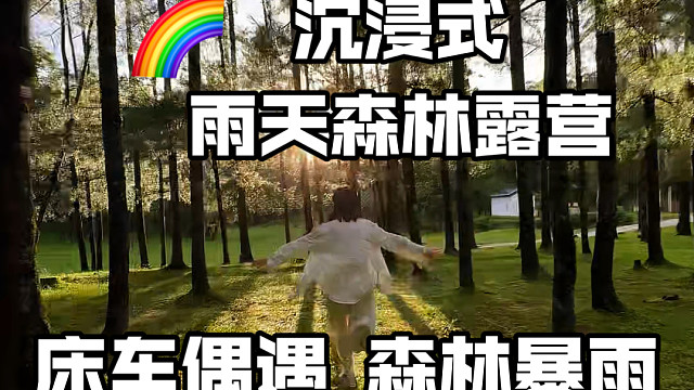 沉浸式床车生活｜雨天森林里过夜#达达有浪的旅行vlog