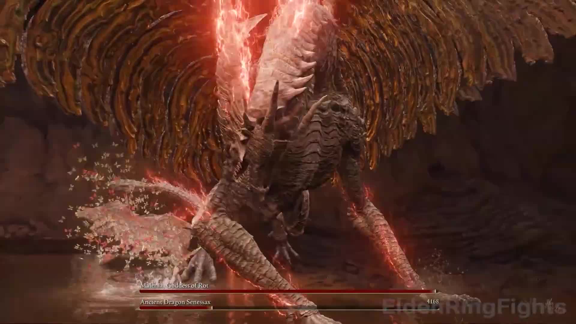 法环：哪个DLC BOSS能打过腐败女神马莲妮亚？