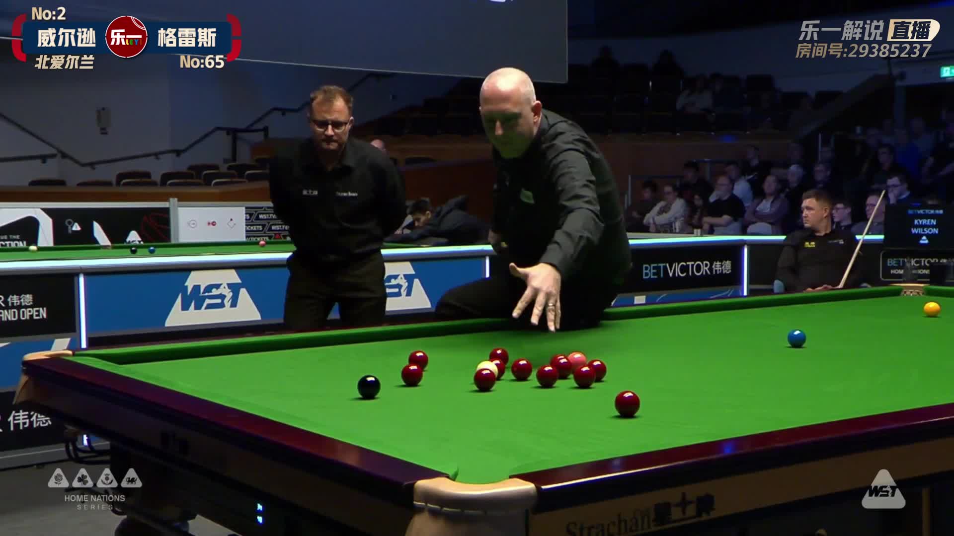 凯伦·威尔逊VS大卫·格雷斯    2024斯诺克北爱尔兰公开赛 乐一解说