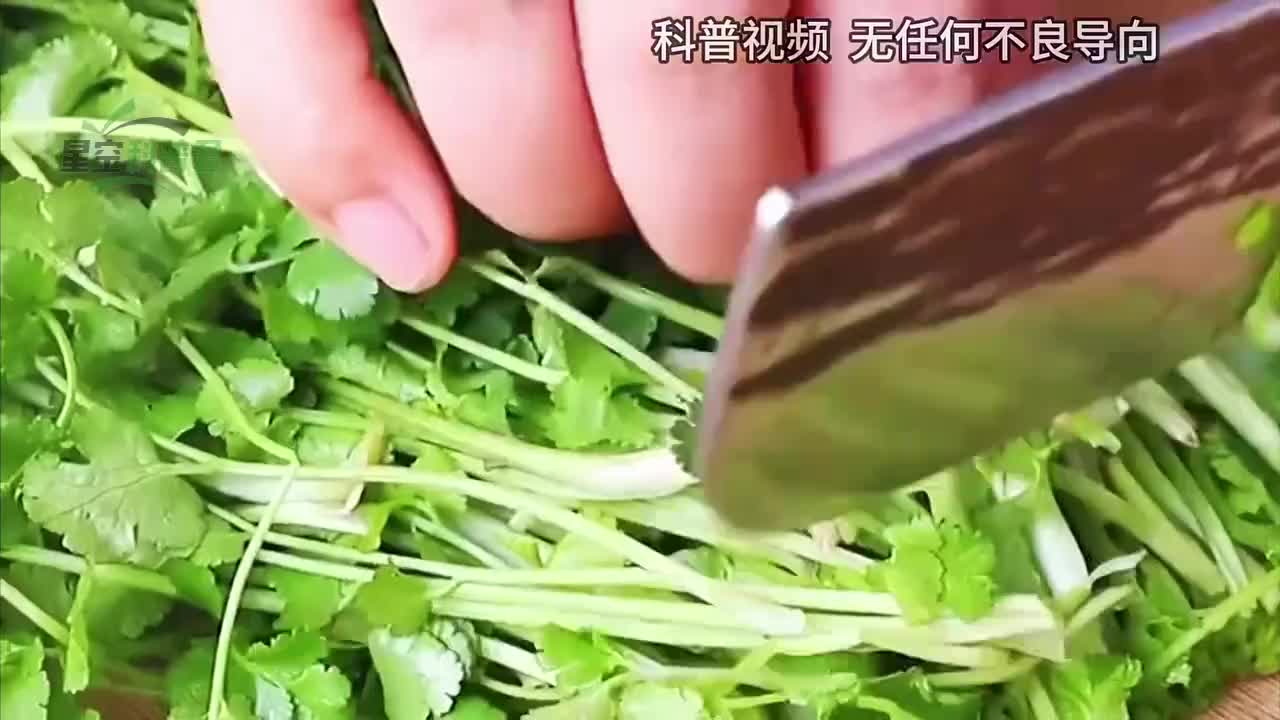 保存香菜不要直接放冰箱，教你一招，放一年也不变色不变味！