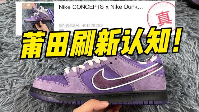 不敢相信！福建顶配的dunk紫龙虾，居然过验了！！