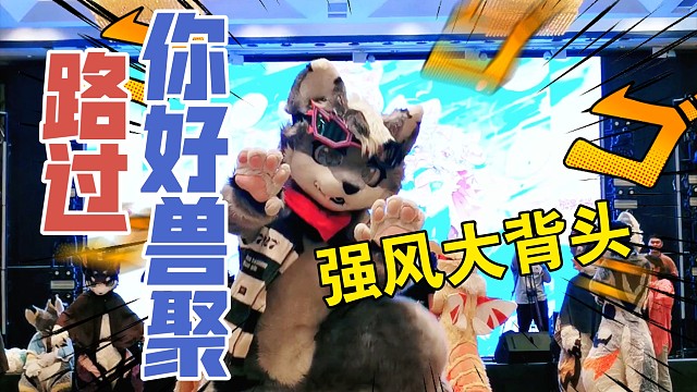 去兽聚【强风大背头】一下