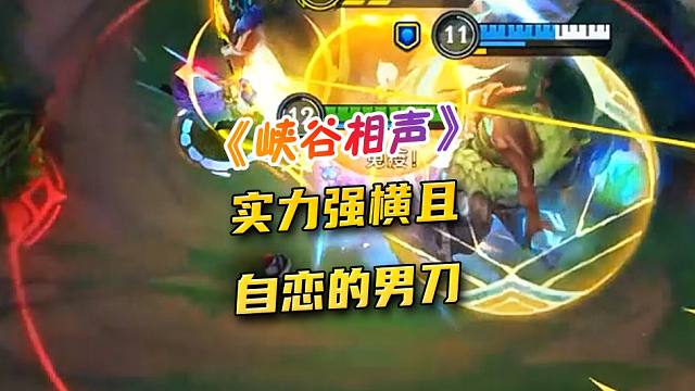 实力强横且自恋的男刀~