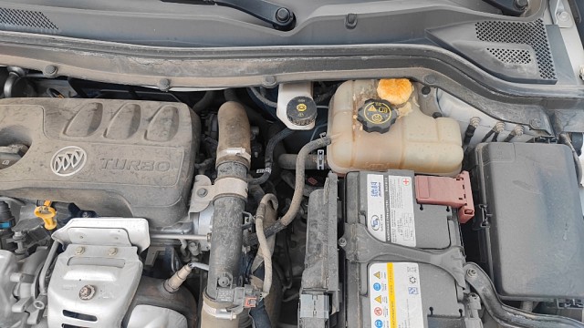 今天加玻璃水，发现发动机舱里长出来一个月饼