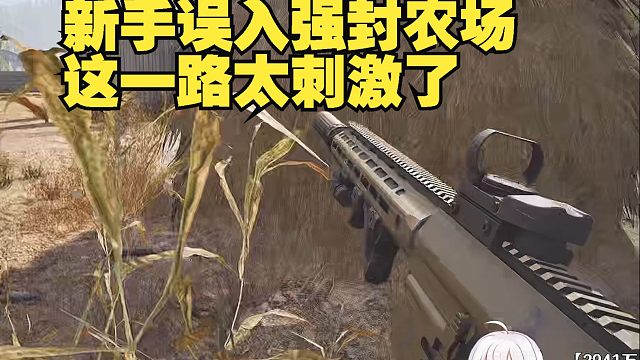新手误入强封农场 这一路太刺激了
