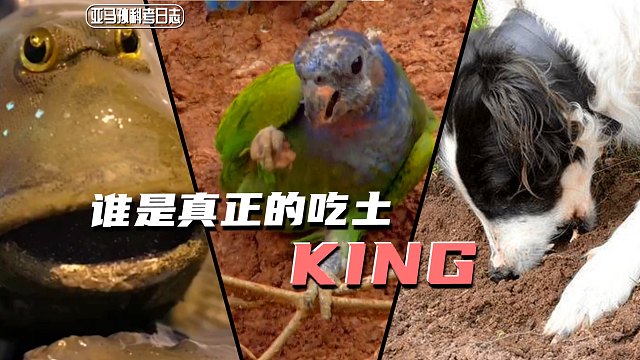 【陈睿】另类的土味美食分享会，呼朋唤友来吃土，真的没钱