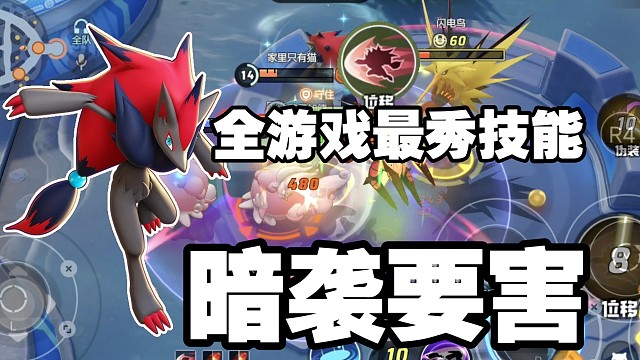 《宝可梦大集结国服》观赏性，操作性，机制，全拉满！这就是暗袭要害索罗亚克！