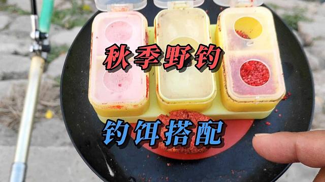 秋季野钓遇到突然停口，单一饵料不好用？那就两种一起用呗