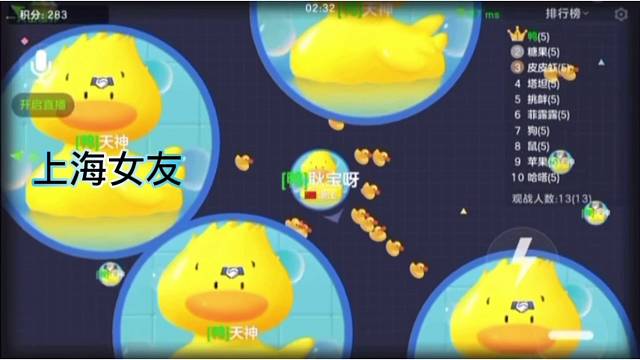 2018年到现在，球球陪我到老