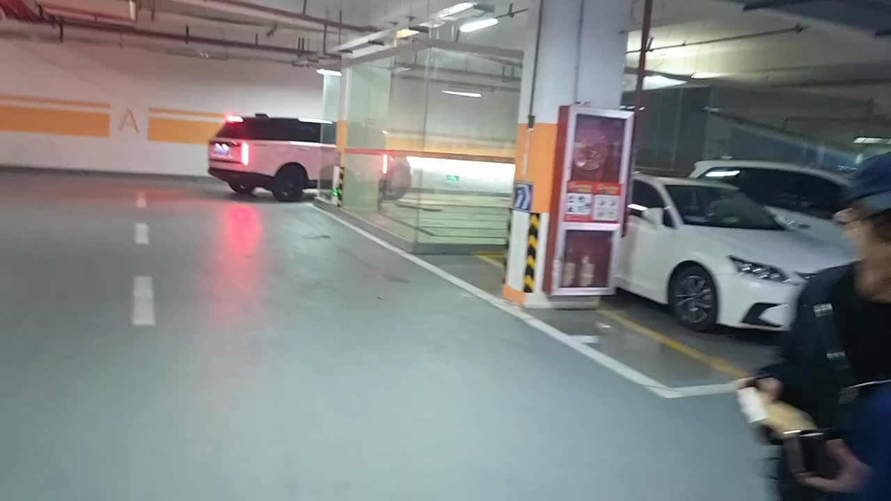 在车库底下停车竟遇到宝儿？