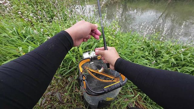 没想到秋季的大石斑和小马口还是这么好钓，满载而归，又是快乐的一天