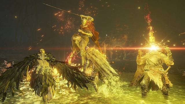 法环：3个癫公VS本体全BOSS