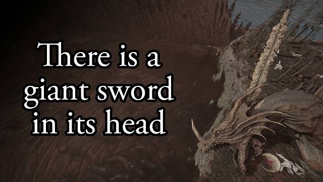 法环：谁杀死了尖刺山的特大号飞龙？