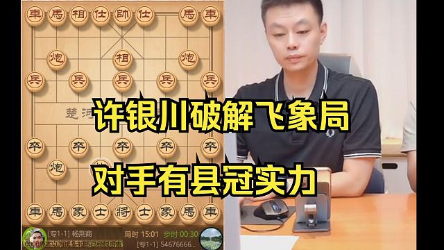 许银川破解飞象局，对手有县冠军水平