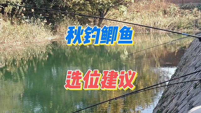 秋季昼夜温差大，钓远钓深为啥鱼口很差？来看看老钓友的选位建议