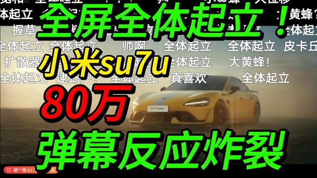 【全屏起立！】80万起！大黄蜂小米SU7ultra登场公布价格时弹幕反应炸裂！！