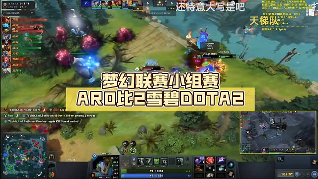 梦幻联赛小组赛AR0比2雪碧【辉耀计划】DOTA2